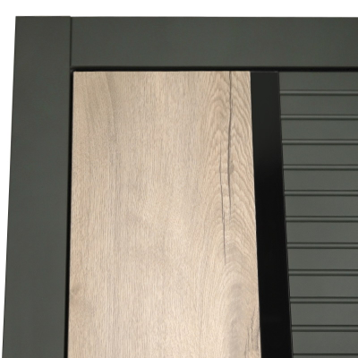 Стальная дверь   Ferrum (биометрический замок)