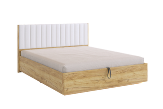 Кровать АДАМ с подъемным механизмом  1,6 м цвет на выбор