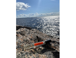 Духи АККОРД: ЧЁРНЫЕ КОШКИ 10 мл