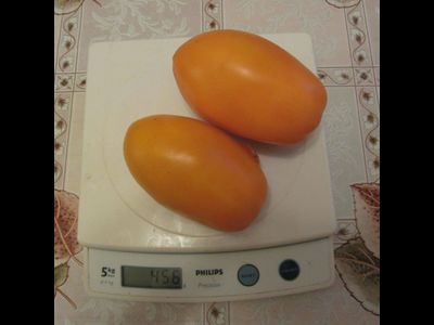 Томат Стаканы оранжевые минусинские