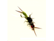 Мухо-мормышка Веснянка лапочник зел. вес.0.10 gr.25mm. d-4.0mm в