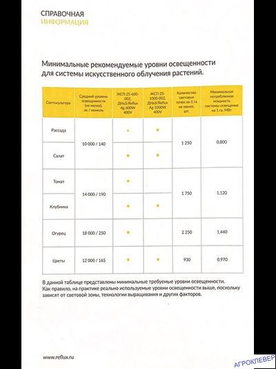 Лампа ДНаЗ / Reflux Ag 600 W 220V