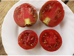 Томат Гном Грааль (Dwarf Grail)