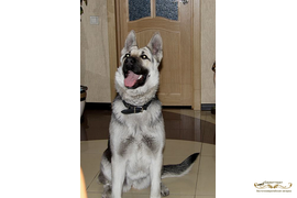 Принцесса Каскад (Барталина Каскад Х Ренджин)