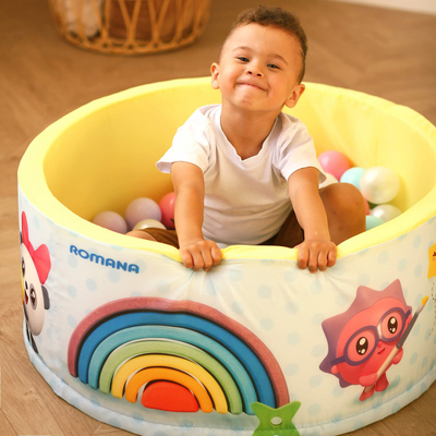 Сухой бассейн Romana Airpool "Профессии" ДМФ-МК-02.56.01 голубой купить в Воронеже