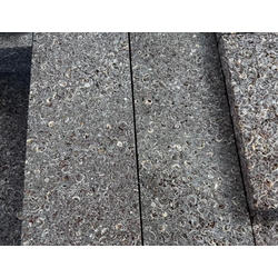 Морской ракушечник дагестанский