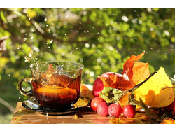 ЧЕРНЫЙ ЧАЙ "С ОБЛЕПИХОЙ" 100 г