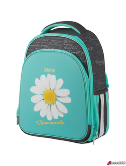 Ранец Berlingo Expert Plus "Chamomile" 38*29*15см, 2 отделения, 2 кармана, анатомическая спинка. RU07144