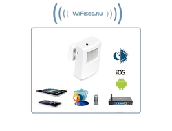 Охранная IP WiFi-LAN видеокамера с ночным видением и аудиоканалом (корпус ИК датчика), встроенный DVR. HD (Pro Ezcam)