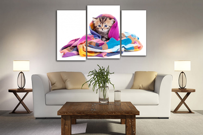 Модульная картина "Котенок в шали"