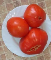 Итало