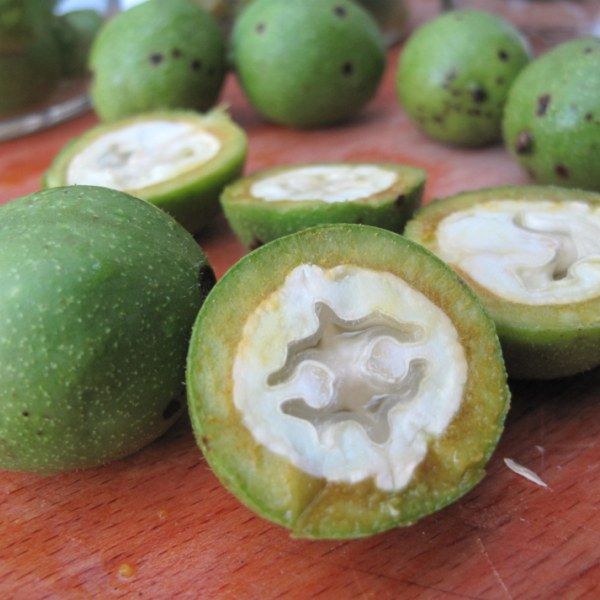 Молодой грецкий орех для варенья Благоедов