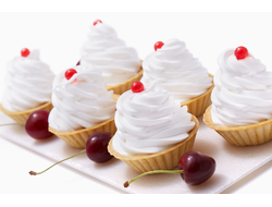 Смесь сухая белковая "Алиса"