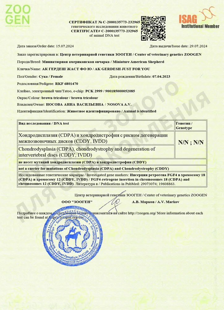 Юта. Тесты на генетические заболевания