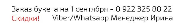 контактная информация