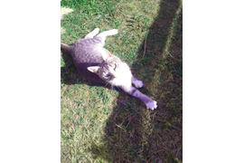 Максимов А Р "Ну мне-то дай!"