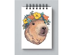 Блокнот Капибара, Kapibara-san №11