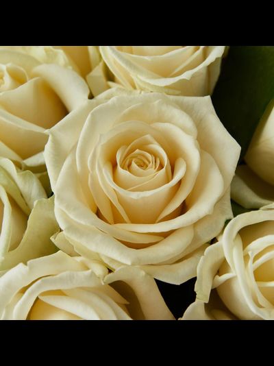 Букет "Утренняя роса" из 25 белых роз в крафте