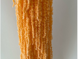 Амарант сочный персиковый