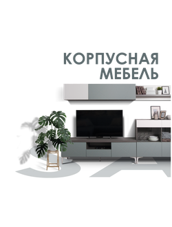 КОРПУСНАЯ МЕБЕЛЬ (акция)