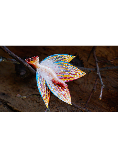 "Бабочка Вогненной Лисички", кулон из глины и шёлка