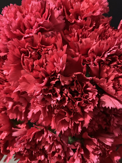 Гвоздика 15 шт