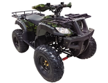 ATV WELS THUNDER 150