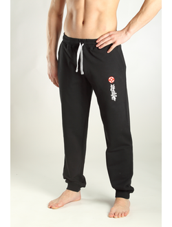 Облегченные трикотажные спортивные брюки с вышивкой каратэ