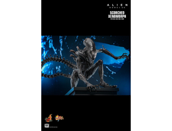 ПРЕДЗАКАЗ - Чужой (Ромул) - Коллекционная ФИГУРКА 1/6 Scorched Xenomorph Alien: Romulus (MMS784) - Hot toys ?ЦЕНА: 48600 РУБ.?