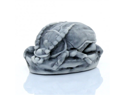 Жук-усач на грецком орехе - (Скарабей).ОПТ