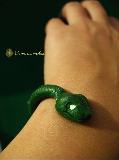 Браслет "Тропическая змейка"