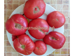 Томат Бой-бой (Boy-boy)