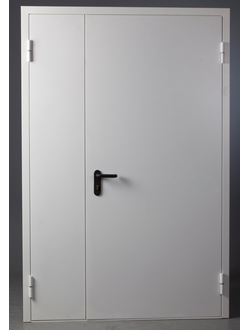 Дверь противопожарная EI-60 металлическая двупольная