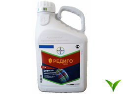 Редиго Про КС 5л