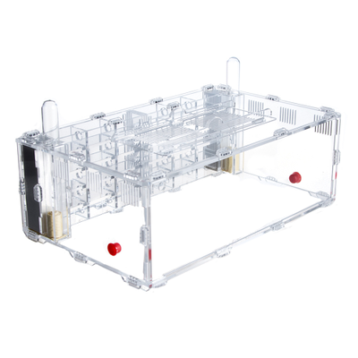 Комплект формикарий 4ants Crystal XL 3.0  с муравьями Messor Structor