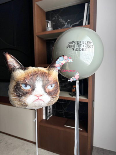 Стеклянный шар (Размер шара 60 см) + Сердитый кот