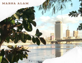 CAIRO BY BUS, PROGRAM VIP