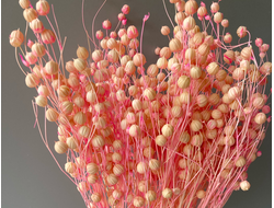 Лён (крупный)