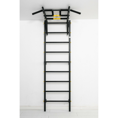 Шведская стенка Ferrum Force FR1 купить в Воронеже