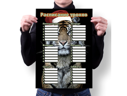 Расписание уроков год Тигра №6