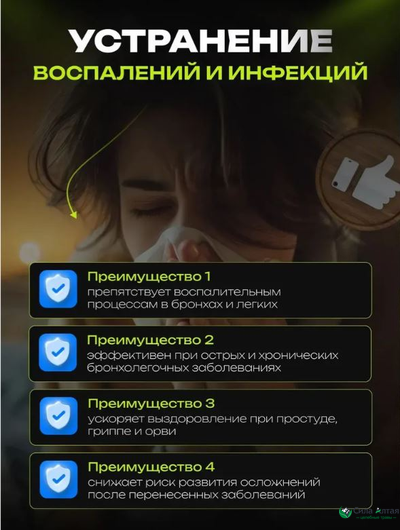 Анге-Бронхус чистые бронхи, новые легкие