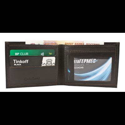 Кожаное портмоне Sano brown (арт. 7419-04)