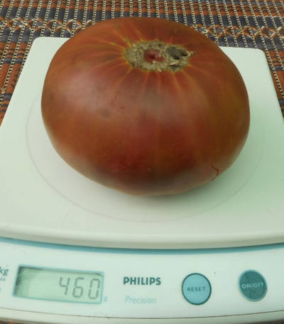 Томат Медная река (Cooper River)