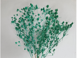 Эрингиум изумрудный