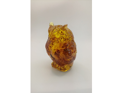 Сова пузатая