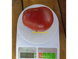 Томат Русский черный (Russian black)