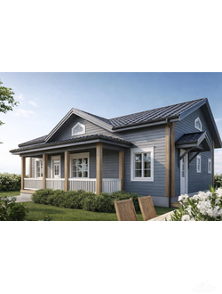 odnoetazhnie-doma-iz-profilirovannogo-drusa-oblastnoi