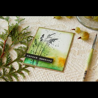 ФП штамп "Метелка" 2