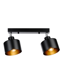 Настенно-потолочный спот в стиле лофт TR 8142/2 BK черный E27*2 max 40W 340*120*180