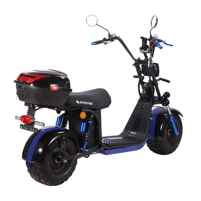 Электроскутер SKYBOARD BR20-2WD OFF-ROAD